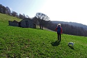 19 Rientriamo sulla sterrata agrosilvopastorale